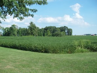 60 Acres with 45+/- tillable acres, 20+/- acres just coming out of CRP for 2013 planting.  

- Nice mix of tillable and wooded acres.
- Full crop rights available in 2013.
- Frontage on two roads.
- Only 15 minutes to Richmond, IN.
- 1 Acre managed pond.
- Northeastern Wayne Schools. - 60 Acre Complete Farm Unit